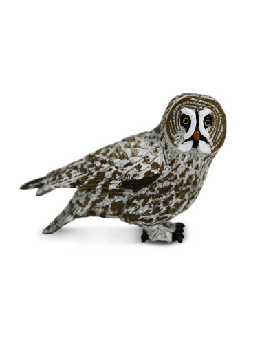 Figure - Great Grey Owl