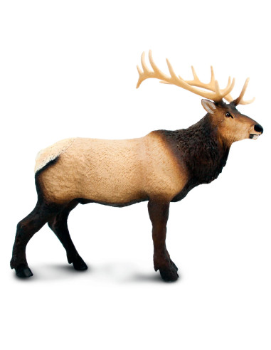 Figure - Elk