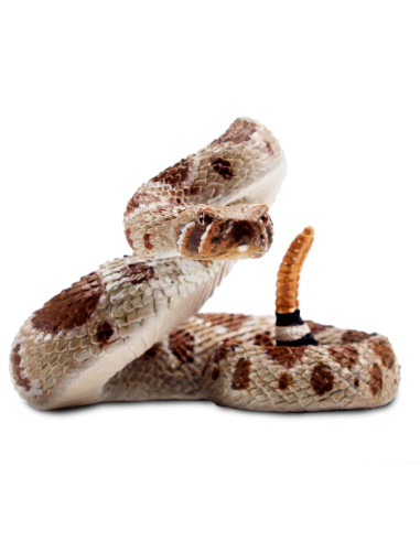 Figure - Western Diamondback Rattlesnake