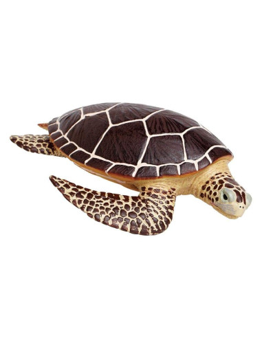 Figure - Sea Turtle