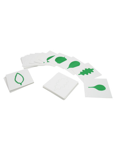 Leaf Shape Cards